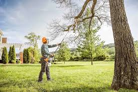 Best Lawn Watering Services  in Avalon, NJ